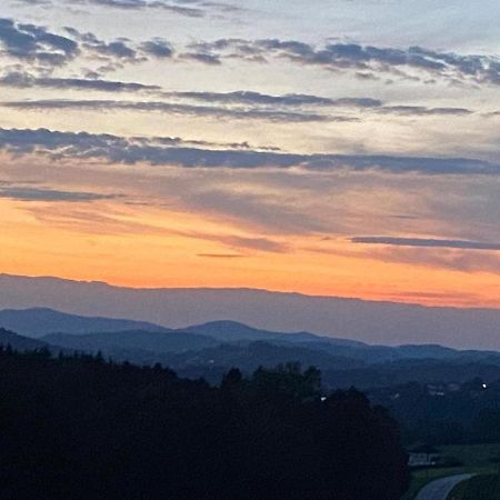 Fh Ausblick Villa Waldkirchen Dış mekan fotoğraf