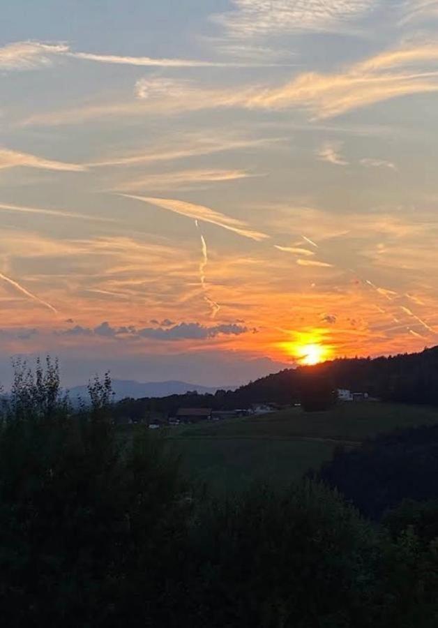Fh Ausblick Villa Waldkirchen Dış mekan fotoğraf